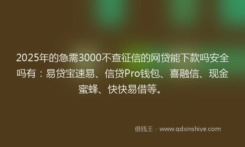 2025年的急需3000不查征信的网贷能下款吗安全吗有：易贷宝速易、信贷Pro钱包、喜融信、现金蜜蜂、快快易借等。