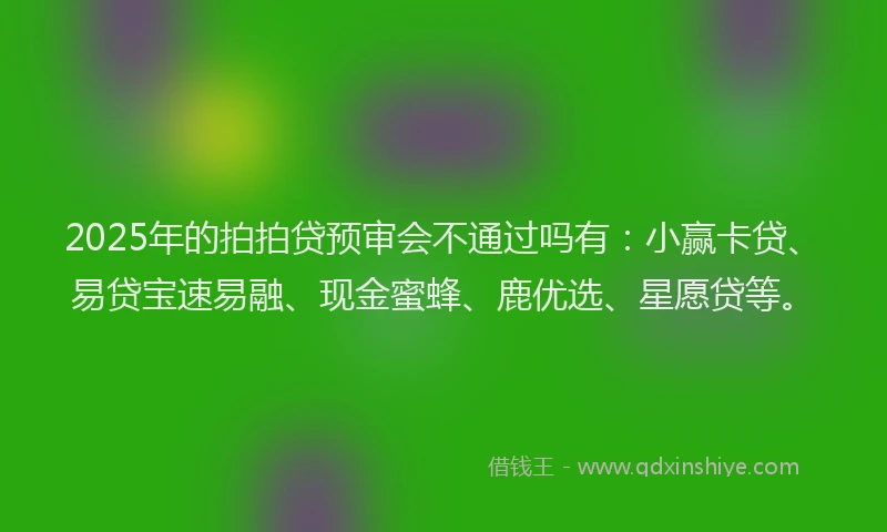 2025年的拍拍贷预审会不通过吗有：小赢卡贷、易贷宝速易融、现金蜜蜂、鹿优选、星愿贷等。