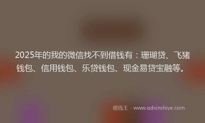 2025年的我的微信找不到借钱有：珊瑚贷、飞猪钱包、信用钱包、乐贷钱包、现金易贷宝融等。