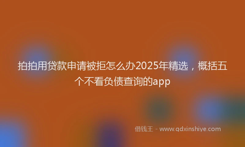 拍拍用贷款申请被拒怎么办2025年精选，概括五个不看负债查询的app