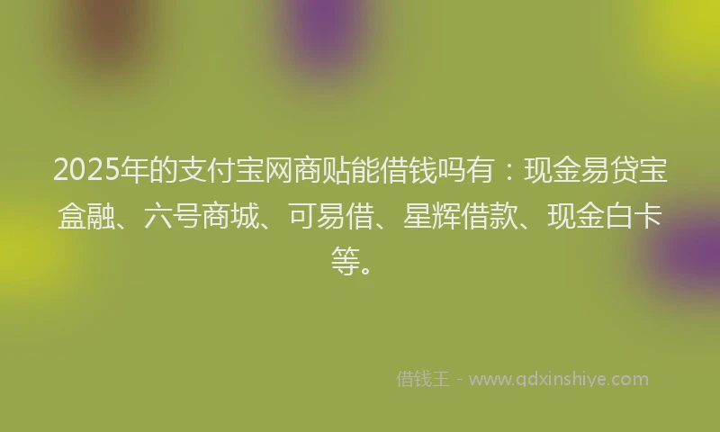 2025年的支付宝网商贴能借钱吗有：现金易贷宝盒融、六号商城、可易借、星辉借款、现金白卡等。