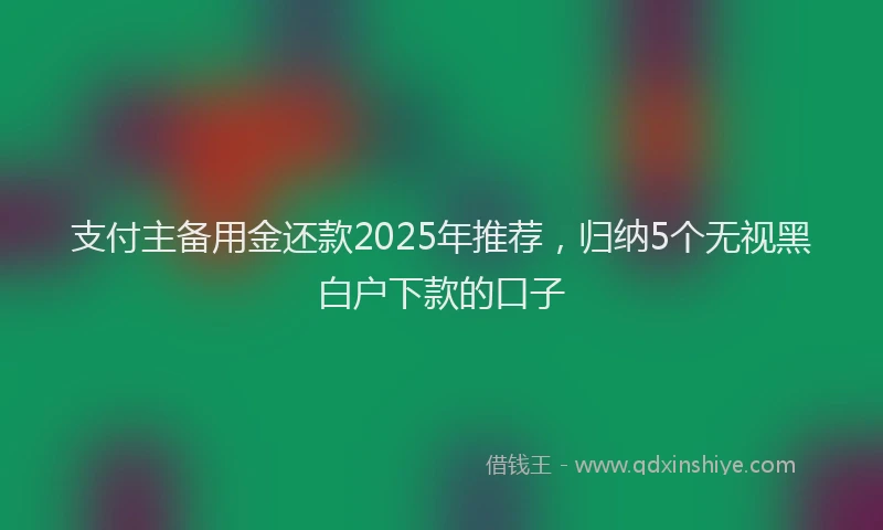 支付主备用金还款2025年推荐，归纳5个无视黑白户下款的口子