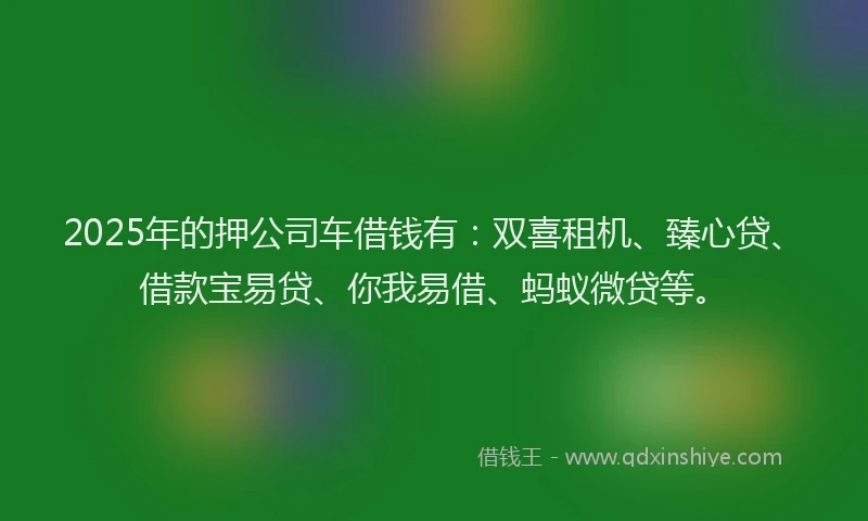 2025年的押公司车借钱有：双喜租机、臻心贷、借款宝易贷、你我易借、蚂蚁微贷等。