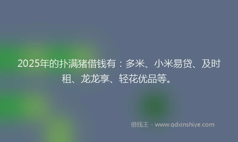 2025年的扑满猪借钱有：多米、小米易贷、及时租、龙龙享、轻花优品等。