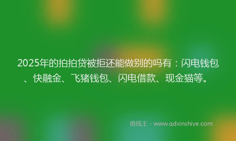 2025年的拍拍贷被拒还能做别的吗有：闪电钱包、快融金、飞猪钱包、闪电借款、现金猫等。