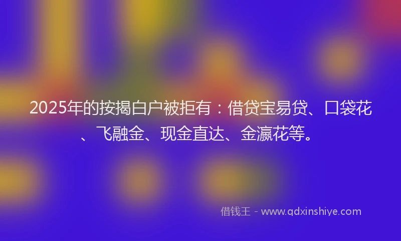 2025年的按揭白户被拒有：借贷宝易贷、口袋花、飞融金、现金直达、金瀛花等。