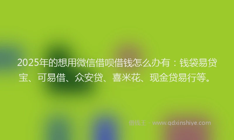2025年的想用微信借呗借钱怎么办有：钱袋易贷宝、可易借、众安贷、喜米花、现金贷易行等。