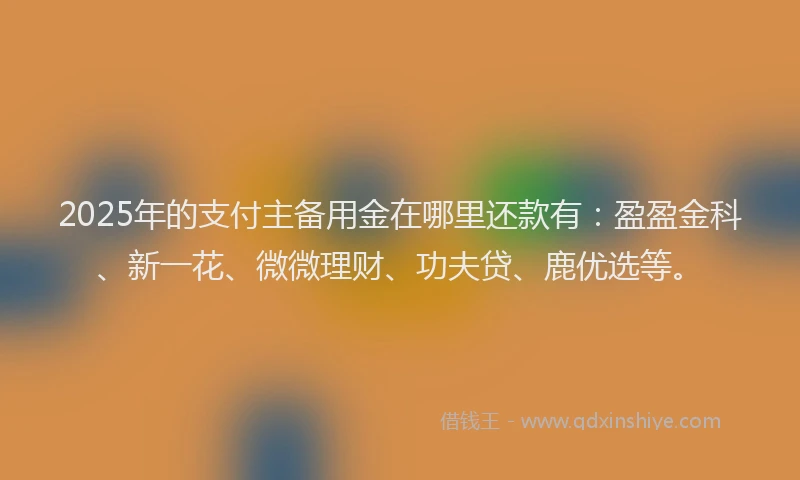 2025年的支付主备用金在哪里还款有：盈盈金科、新一花、微微理财、功夫贷、鹿优选等。