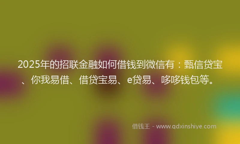 2025年的招联金融如何借钱到微信有：甄信贷宝、你我易借、借贷宝易、e贷易、哆哆钱包等。