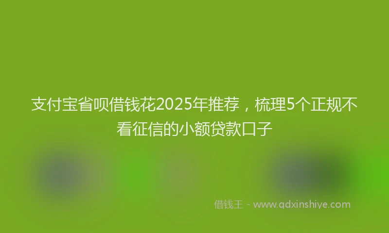 支付宝省呗借钱花2025年推荐，梳理5个正规不看征信的小额贷款口子