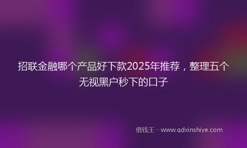 招联金融哪个产品好下款2025年推荐，整理五个无视黑户秒下的口子
