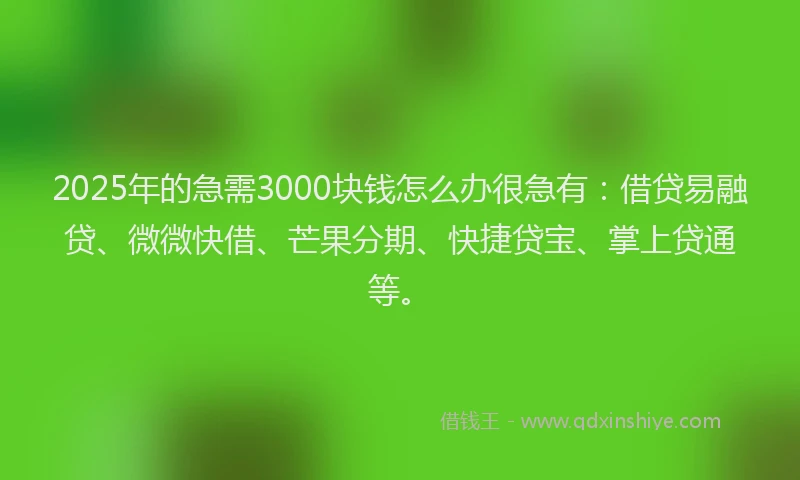 2025年的急需3000块钱怎么办很急有：借贷易融贷、微微快借、芒果分期、快捷贷宝、掌上贷通等。
