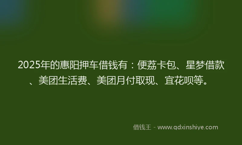 2025年的惠阳押车借钱有：便荔卡包、星梦借款、美团生活费、美团月付取现、宜花呗等。