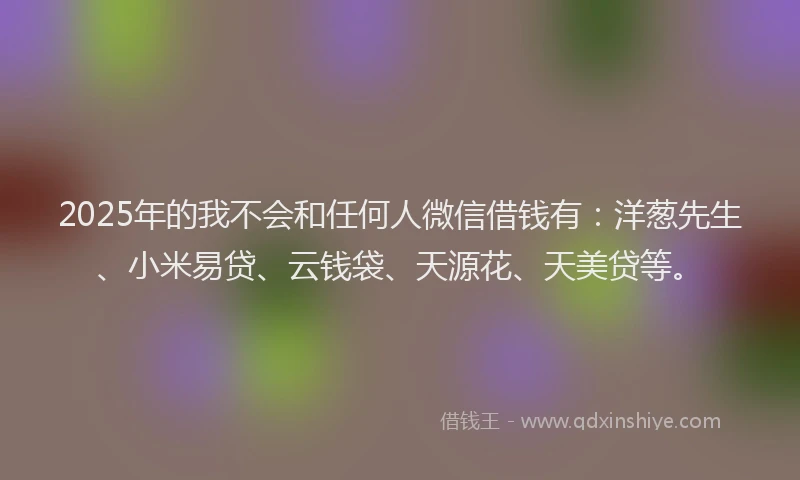 2025年的我不会和任何人微信借钱有：洋葱先生、小米易贷、云钱袋、天源花、天美贷等。