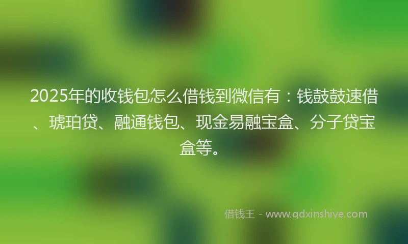 2025年的收钱包怎么借钱到微信有：钱鼓鼓速借、琥珀贷、融通钱包、现金易融宝盒、分子贷宝盒等。