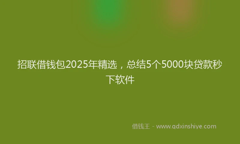 招联借钱包2025年精选，总结5个5000块贷款秒下软件