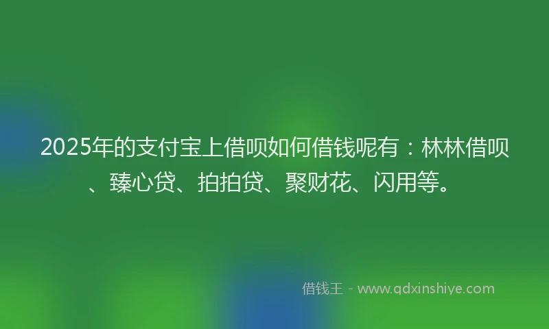 2025年的支付宝上借呗如何借钱呢有：林林借呗、臻心贷、拍拍贷、聚财花、闪用等。