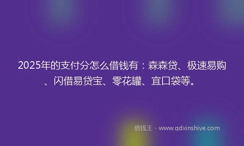 2025年的支付分怎么借钱有：森森贷、极速易购、闪借易贷宝、零花罐、宜口袋等。