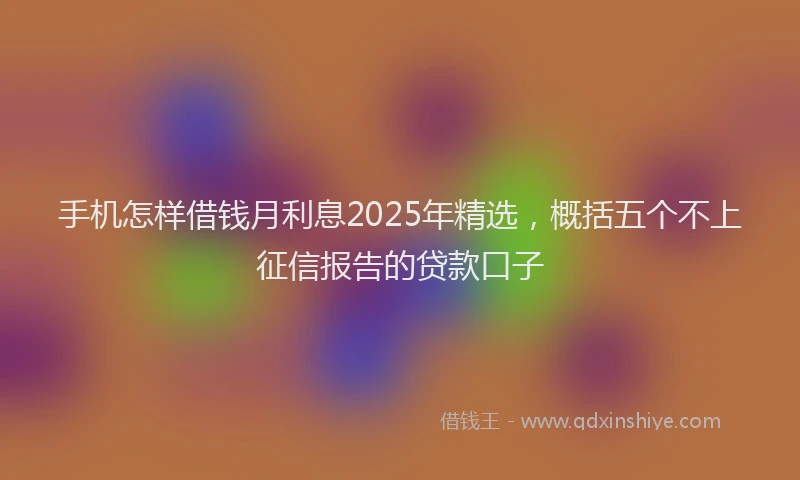 手机怎样借钱月利息2025年精选，概括五个不上征信报告的贷款口子