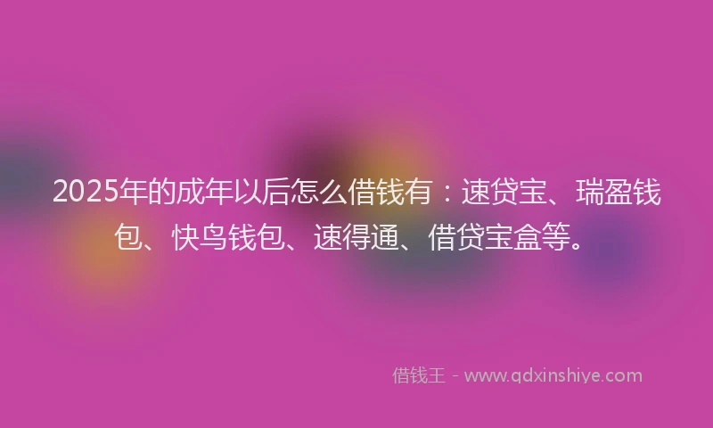 2025年的成年以后怎么借钱有：速贷宝、瑞盈钱包、快鸟钱包、速得通、借贷宝盒等。