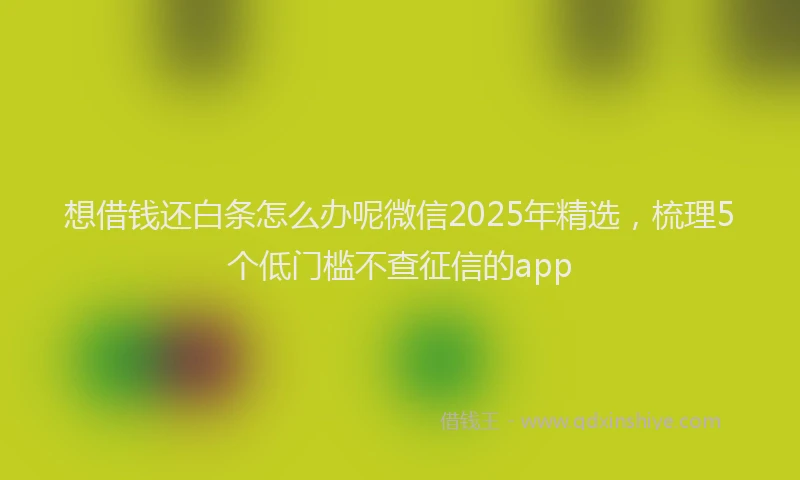 想借钱还白条怎么办呢微信2025年精选，梳理5个低门槛不查征信的app