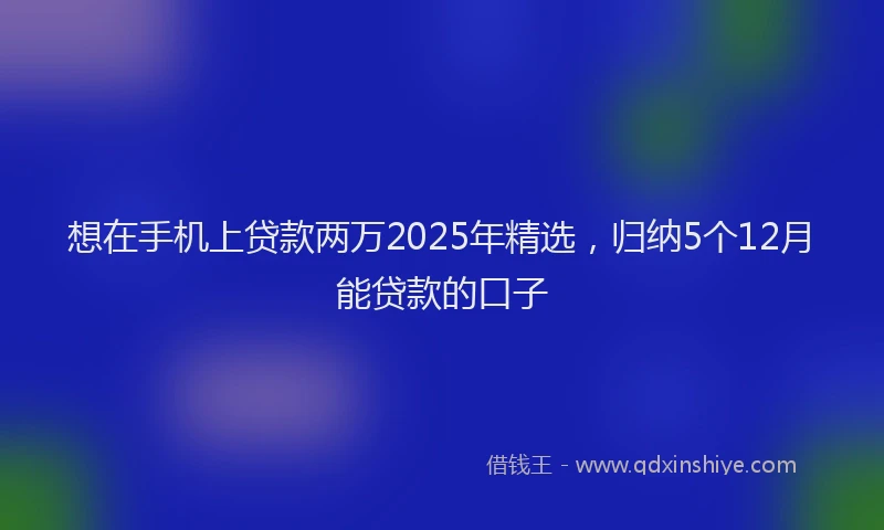 想在手机上贷款两万2025年精选，归纳5个12月能贷款的口子