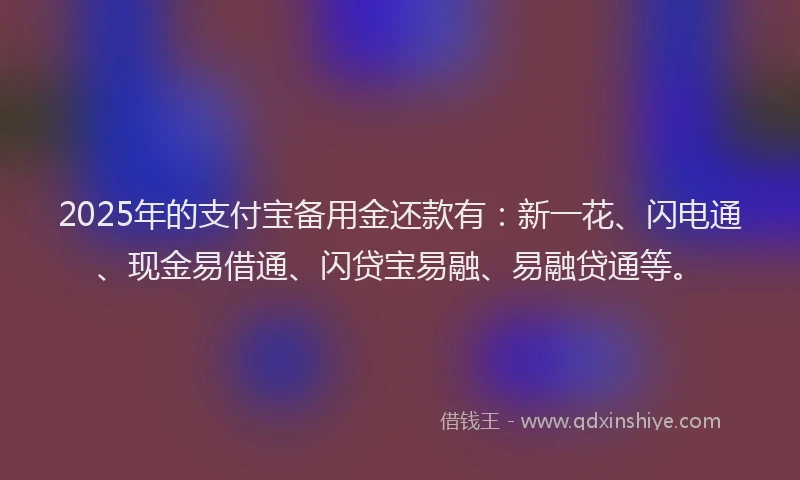 2025年的支付宝备用金还款有：新一花、闪电通、现金易借通、闪贷宝易融、易融贷通等。