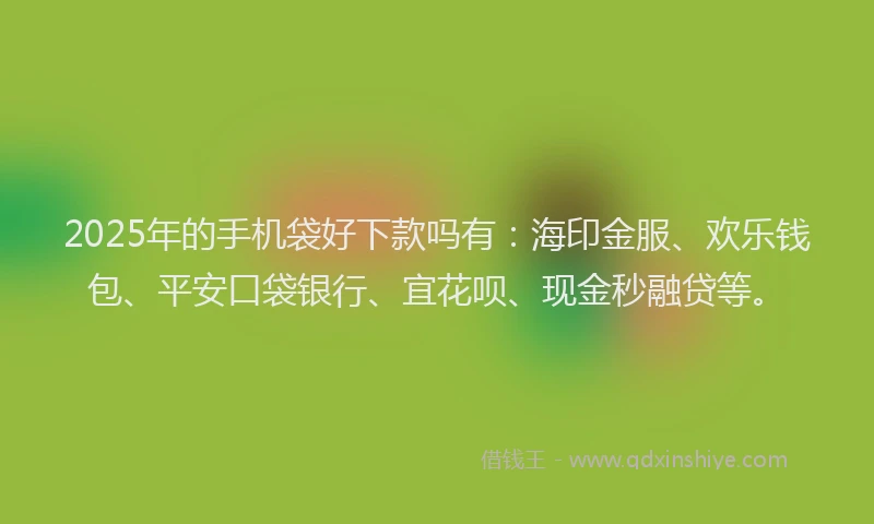 2025年的手机袋好下款吗有：海印金服、欢乐钱包、平安口袋银行、宜花呗、现金秒融贷等。