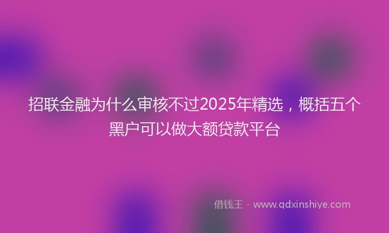 招联金融为什么审核不过2025年精选，概括五个黑户可以做大额贷款平台