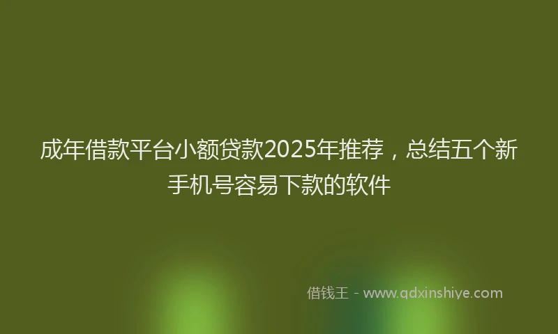 成年借款平台小额贷款2025年推荐，总结五个新手机号容易下款的软件