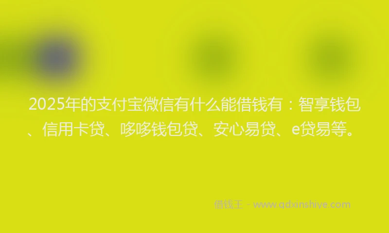 2025年的支付宝微信有什么能借钱有：智享钱包、信用卡贷、哆哆钱包贷、安心易贷、e贷易等。