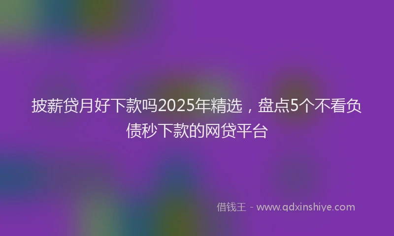 披薪贷月好下款吗2025年精选，盘点5个不看负债秒下款的网贷平台