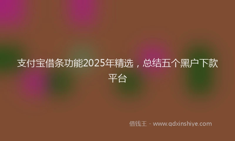 支付宝借条功能2025年精选，总结五个黑户下款平台