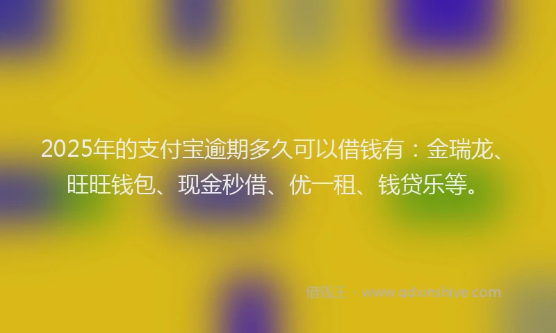 2025年的支付宝逾期多久可以借钱有：金瑞龙、旺旺钱包、现金秒借、优一租、钱贷乐等。