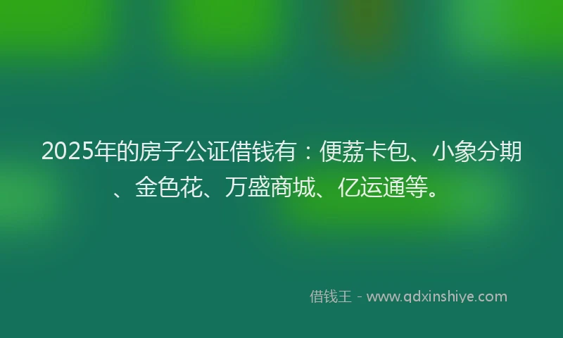 2025年的房子公证借钱有：便荔卡包、小象分期、金色花、万盛商城、亿运通等。