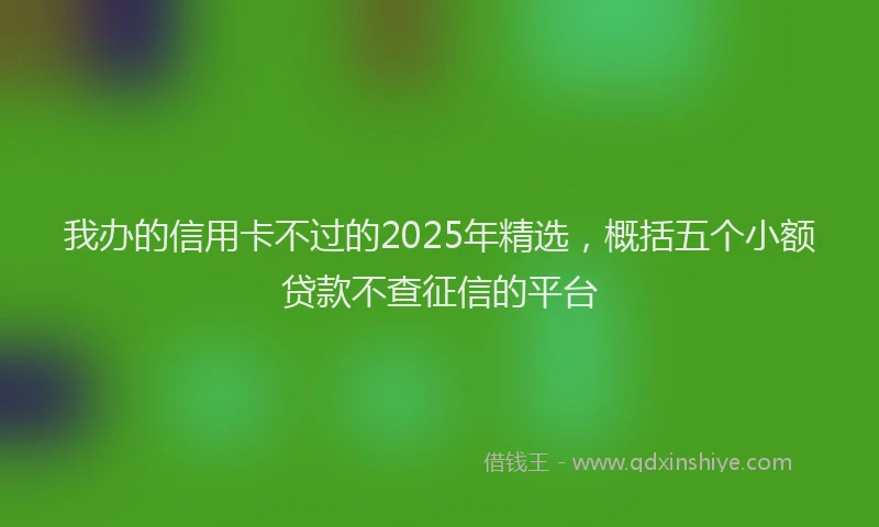 我办的信用卡不过的2025年精选，概括五个小额贷款不查征信的平台
