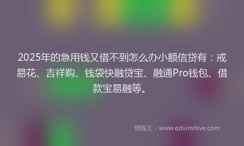 2025年的急用钱又借不到怎么办小额信贷有：戒易花、吉祥购、钱袋快融贷宝、融通Pro钱包、借款宝易融等。