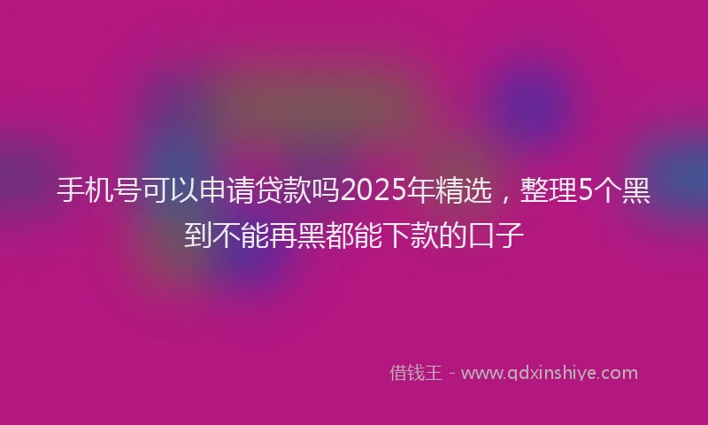手机号可以申请贷款吗2025年精选，整理5个黑到不能再黑都能下款的口子