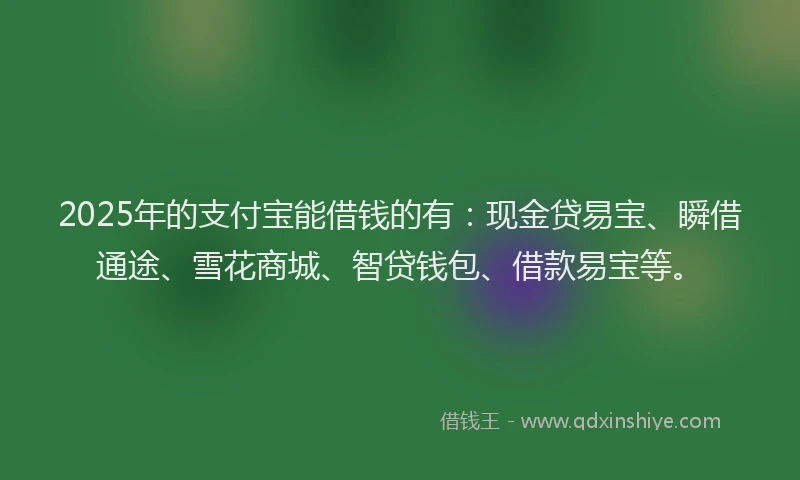 2025年的支付宝能借钱的有：现金贷易宝、瞬借通途、雪花商城、智贷钱包、借款易宝等。