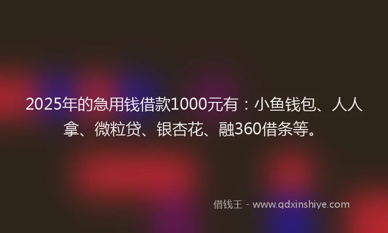 2025年的急用钱借款1000元有：小鱼钱包、人人拿、微粒贷、银杏花、融360借条等。
