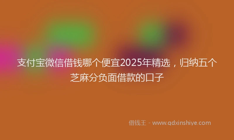 支付宝微信借钱哪个便宜2025年精选，归纳五个芝麻分负面借款的口子
