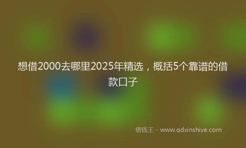 想借2000去哪里2025年精选，概括5个靠谱的借款口子
