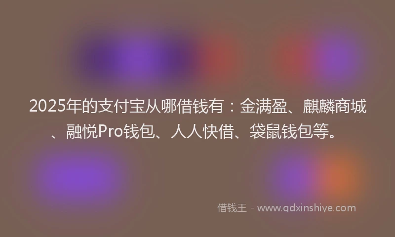 2025年的支付宝从哪借钱有：金满盈、麒麟商城、融悦Pro钱包、人人快借、袋鼠钱包等。