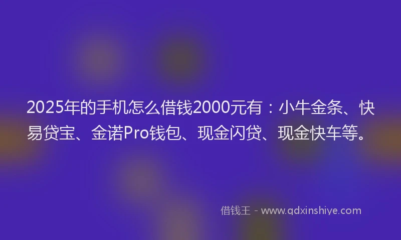 2025年的手机怎么借钱2000元有：小牛金条、快易贷宝、金诺Pro钱包、现金闪贷、现金快车等。