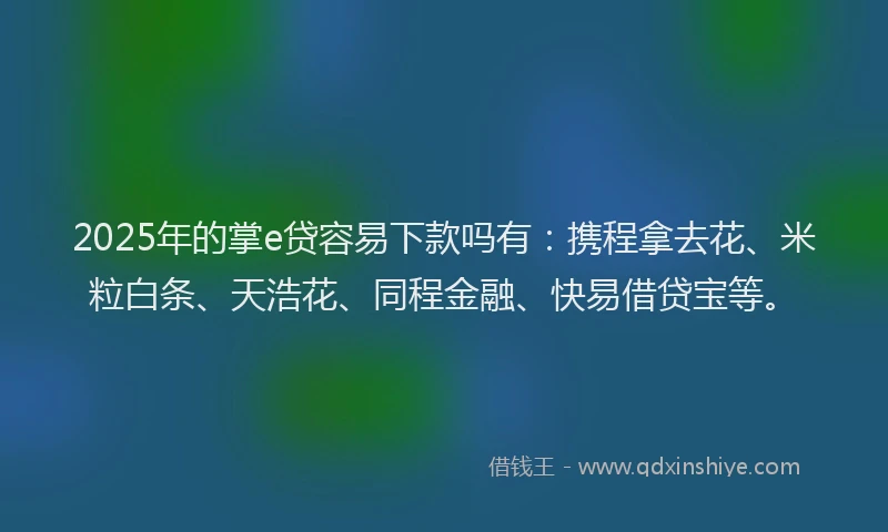 2025年的掌e贷容易下款吗有：携程拿去花、米粒白条、天浩花、同程金融、快易借贷宝等。