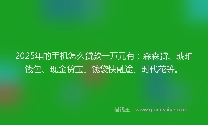 2025年的手机怎么贷款一万元有：森森贷、琥珀钱包、现金贷宝、钱袋快融途、时代花等。