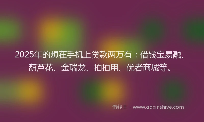 2025年的想在手机上贷款两万有：借钱宝易融、葫芦花、金瑞龙、拍拍用、优者商城等。