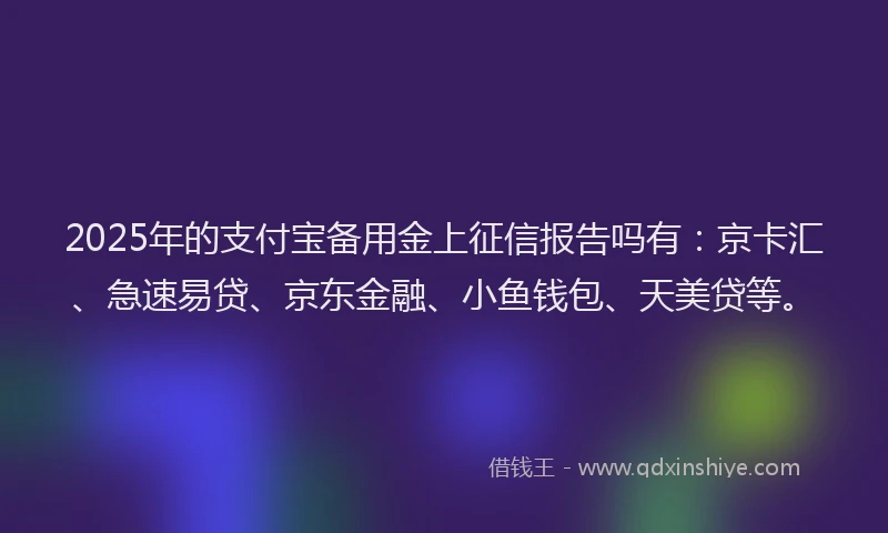 2025年的支付宝备用金上征信报告吗有：京卡汇、急速易贷、京东金融、小鱼钱包、天美贷等。