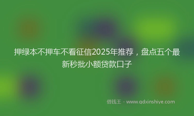 押绿本不押车不看征信2025年推荐，盘点五个最新秒批小额贷款口子