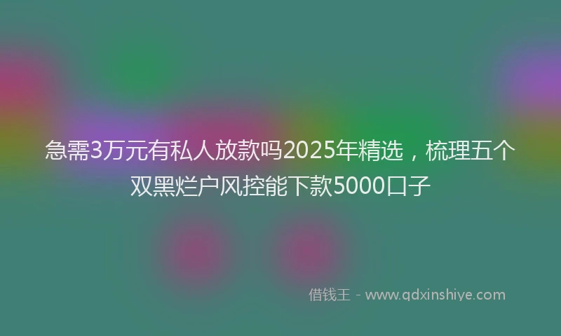 急需3万元有私人放款吗2025年精选，梳理五个双黑烂户风控能下款5000口子